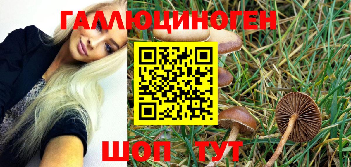Ессентуки  как найти наркотики  Галлюциногенные грибы MAGIC MUSHROOMS  Вход с VPN  Галлюциногенные грибы Psilocybine cubensis 