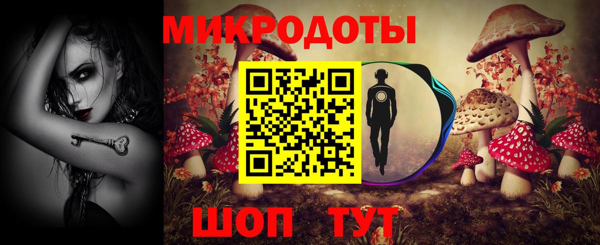 Псилоцибиновые грибы мицелий Ессентуки