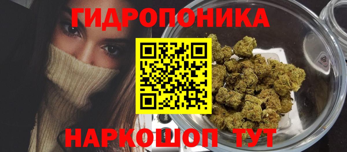 Конопля AK-47 Ессентуки